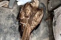 爱游戏体育平台 -五头蛇undefined