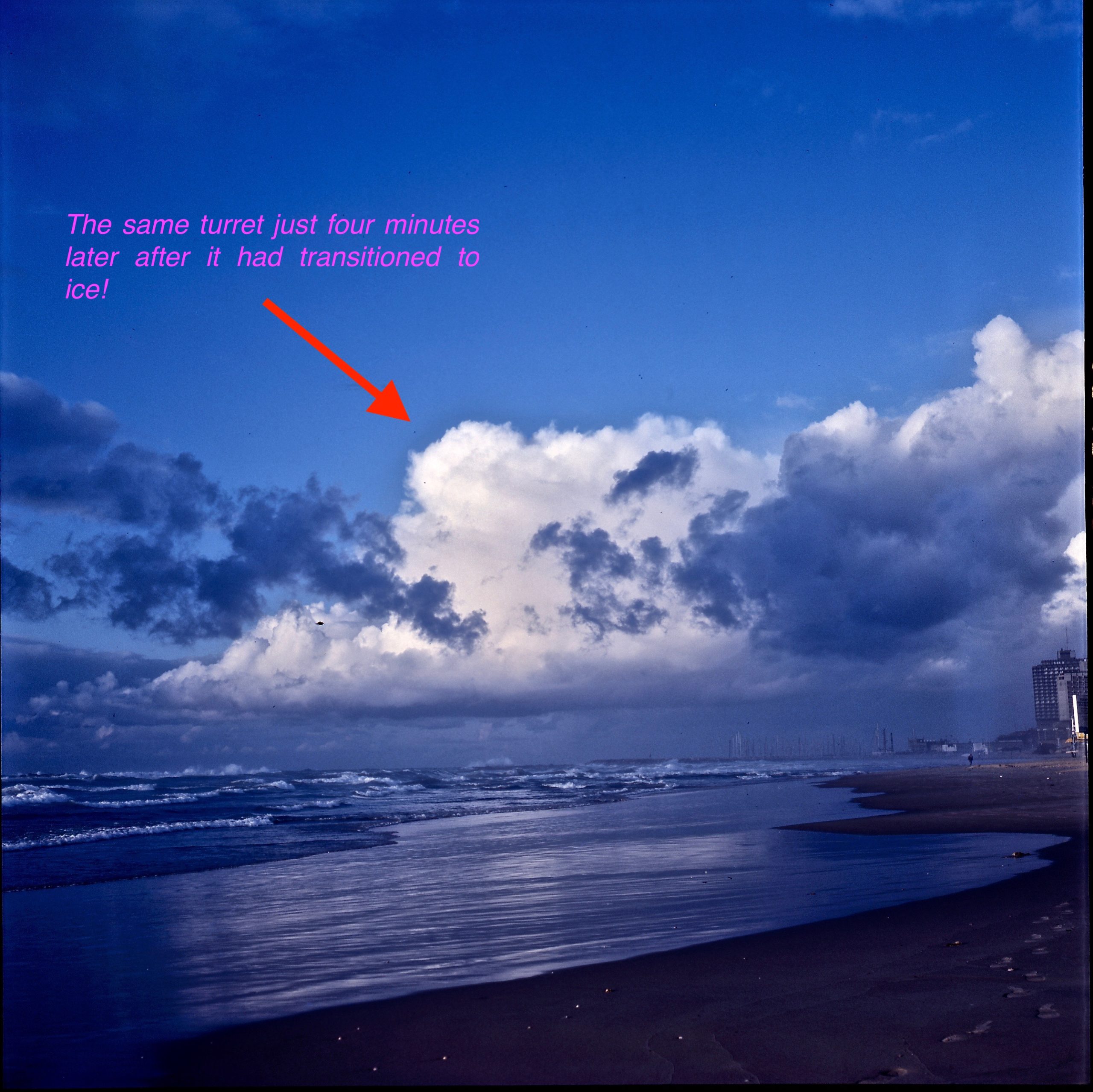 鈥滄柊涓紡鈥濇湇瑁呬负鍟彈杩芥崸 鈥滄柊涓紡鈥濇湇瑁呬负鍟彈杩芥崸